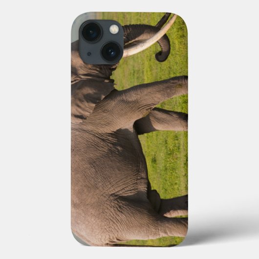 Afrikaanse Olifant, Ngorongoro Conservation Area Case-Mate iPhone Case (Achterkant)