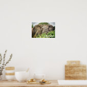 Afrikaanse olifant, Oeganda Poster (Keuken)