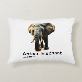 Afrikaanse olifant op een witte achtergrond accent kussen
