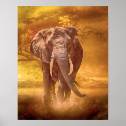 Afrikaanse olifant poster (Voorkant)