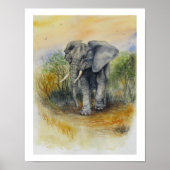 Afrikaanse Olifant Poster (Voorkant)