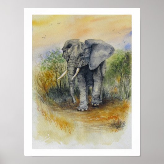 Afrikaanse Olifant Poster (Voorkant)