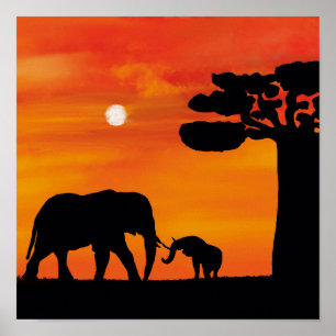 Afrikaanse olifant poster