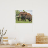 afrikaanse olifant poster (Keuken)