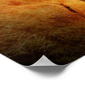 Afrikaanse olifant poster (Hoek)