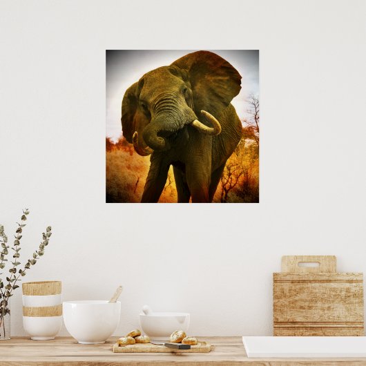 Afrikaanse olifant poster (Keuken)
