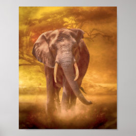 Afrikaanse olifant poster