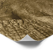 Afrikaanse olifant poster, druk, afbeelding, afbee poster (Hoek)