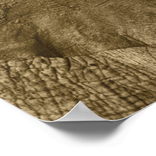 Afrikaanse olifant poster, druk, afbeelding, afbee poster (Hoek)