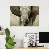 Afrikaanse olifant poster, druk, afbeelding poster (Thuiskantoor)