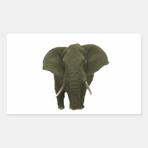 Afrikaanse olifant rechthoekige sticker