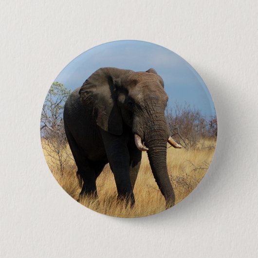 Afrikaanse olifant ronde button 5,7 cm (Voorkant)