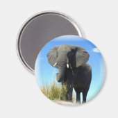 Afrikaanse olifant ronde magneet (Voorkant / Achterkant)