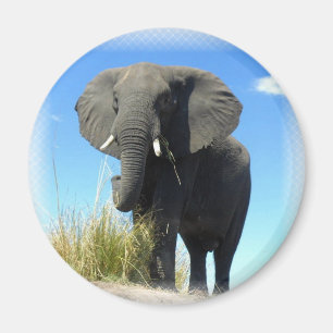 Afrikaanse olifant Round Magnet