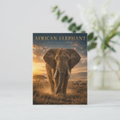 Afrikaanse Olifant Savanne DIEREN Briefkaart (Staand voorkant)