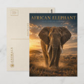 Afrikaanse Olifant Savanne DIEREN Briefkaart (Voorkant / Achterkant)