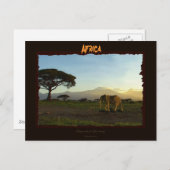 Afrikaanse olifant serie briefkaart (Voorkant / Achterkant)
