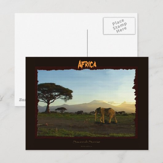 Afrikaanse olifant serie briefkaart (Voorkant / Achterkant)