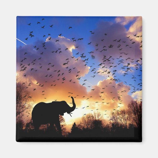 Afrikaanse olifant Silhouette op Sunset Magneet (Voorkant)