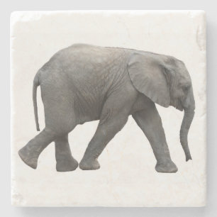 Afrikaanse olifant stenen onderzetter