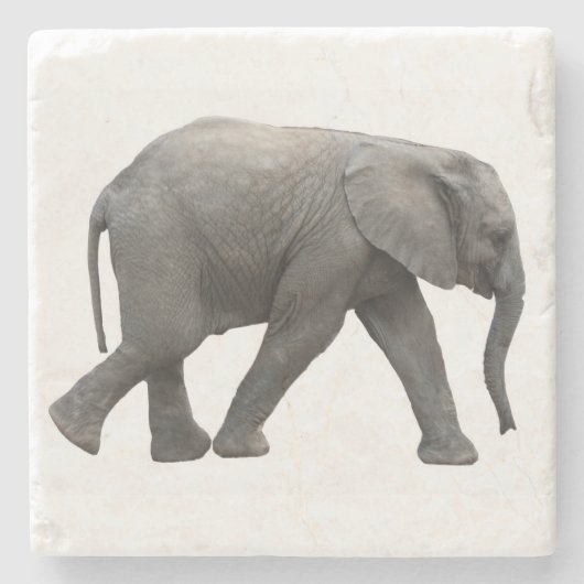 Afrikaanse olifant stenen onderzetter (Voorkant)