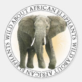Afrikaanse olifant Stickers (Voorkant)