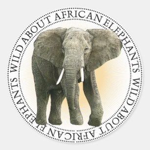 Afrikaanse olifant Stickers