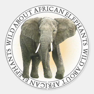 Afrikaanse olifant Stickers