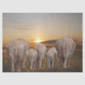 Afrikaanse olifant Sunset Tissuepapier (Voorkant)