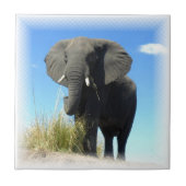 Afrikaanse olifant tegeltje (Voorkant)