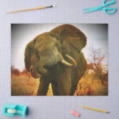 Afrikaanse olifant tissuepapier (Craft)