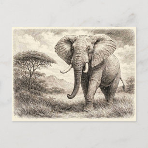 Afrikaanse olifant. Verzamelaarsitem Briefkaart