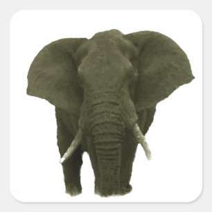 Afrikaanse olifant vierkante sticker