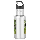 Afrikaanse olifant waterfles (Achterkant)