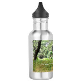 Afrikaanse olifant waterfles waterfles  (Links)