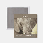 Afrikaanse olifant wildlife safari magneten (Voorkant / Achterkant)