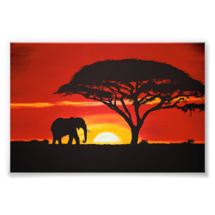 Afrikaanse olifant, zonsondergang, Afrika, Afrikaa Foto Afdruk