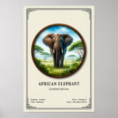 Afrikaanse Olifant Zoölogie Serie Poster (Voorkant)