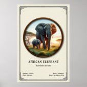 Afrikaanse Olifant Zoölogie Serie Poster (Voorkant)