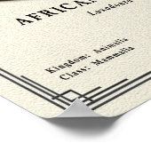 Afrikaanse Olifant Zoölogie Serie Poster (Hoek)