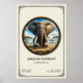 Afrikaanse Olifant Zoölogie Serie Poster (Voorkant)
