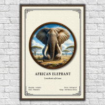 Afrikaanse Olifant Zoölogie Serie