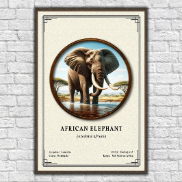 Afrikaanse Olifant Zoölogie Serie Poster