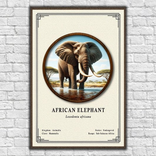 Afrikaanse Olifant Zoölogie Serie Poster