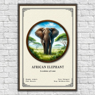 Afrikaanse Olifant Zoölogie Serie Poster