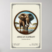 Afrikaanse Olifant Zoölogie Serie Poster (Voorkant)