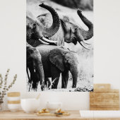 Afrikaanse olifant zwart-wit poster (Keuken)