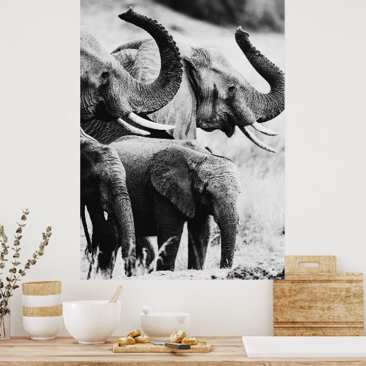 Afrikaanse olifant zwart-wit poster (Keuken)