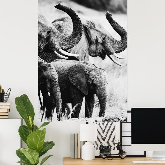 Afrikaanse olifant zwart-wit poster (Thuiskantoor)