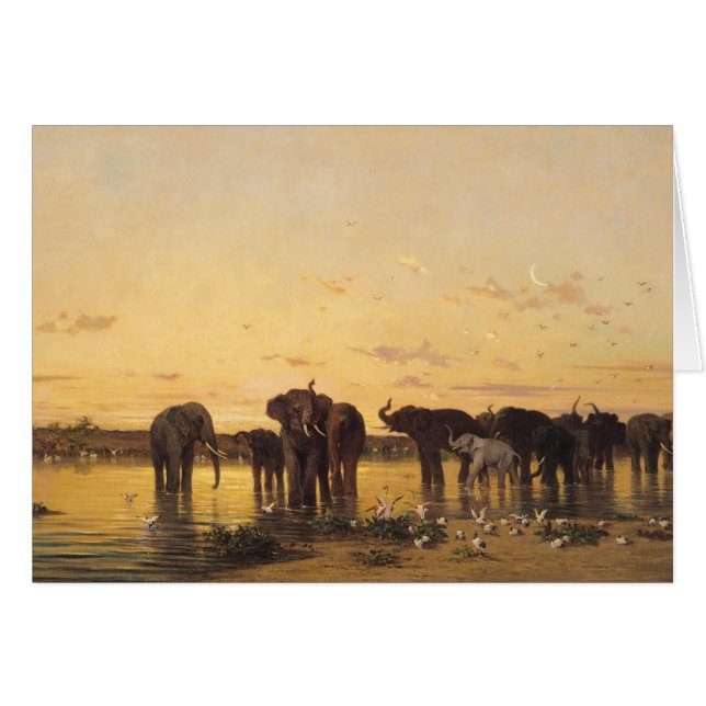 Afrikaanse olifanten (Voorkant Horizontaal)